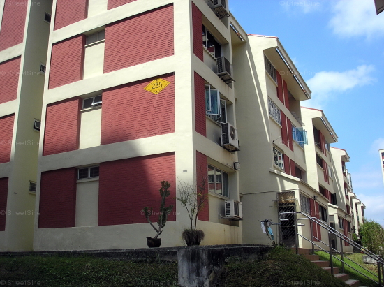 Blk 235 Hougang Street 21 (Hougang), HDB Executive #239362